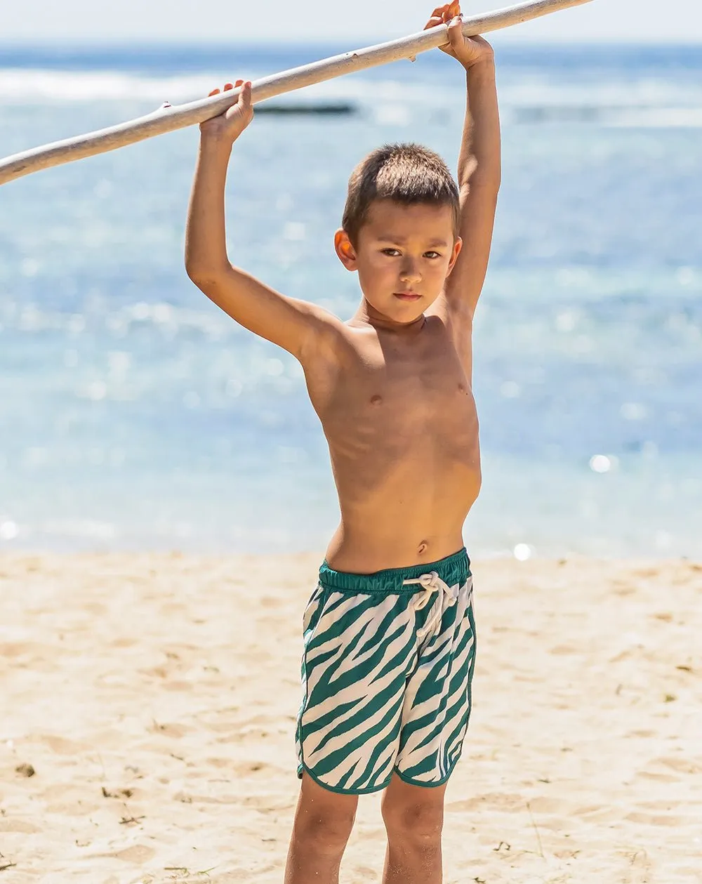 Electric Zebra Emerald Quick Dry Beach Shorts
